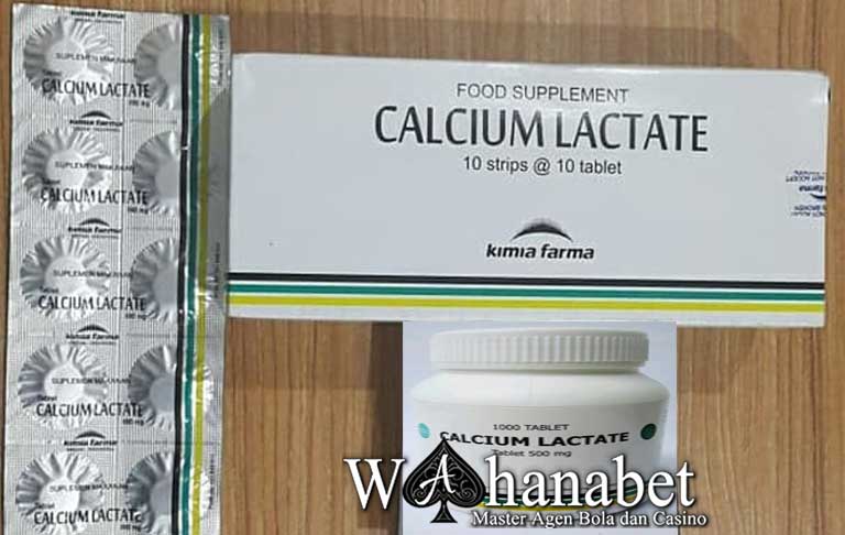 manfaat calcium lactate untuk ayam aduan